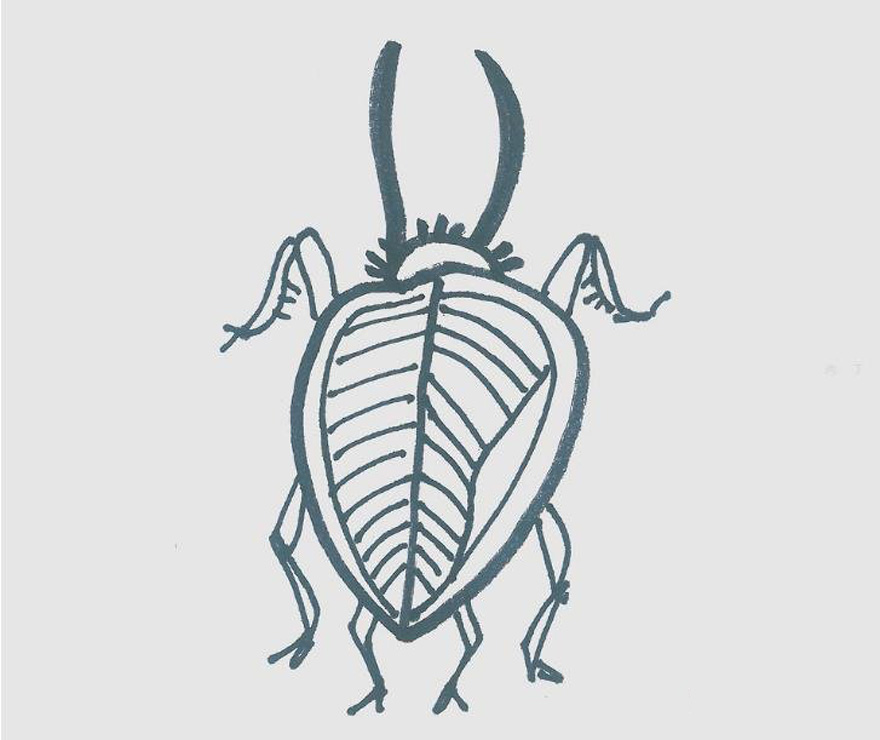 甲虫的画法带步骤简单又好看涂颜色