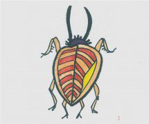 甲虫的画法带步骤简单又好看涂颜色