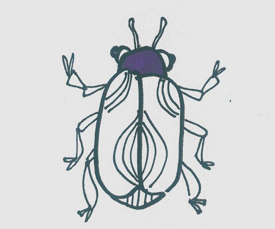 一步一步绘画小甲虫简笔画填色简单又漂亮