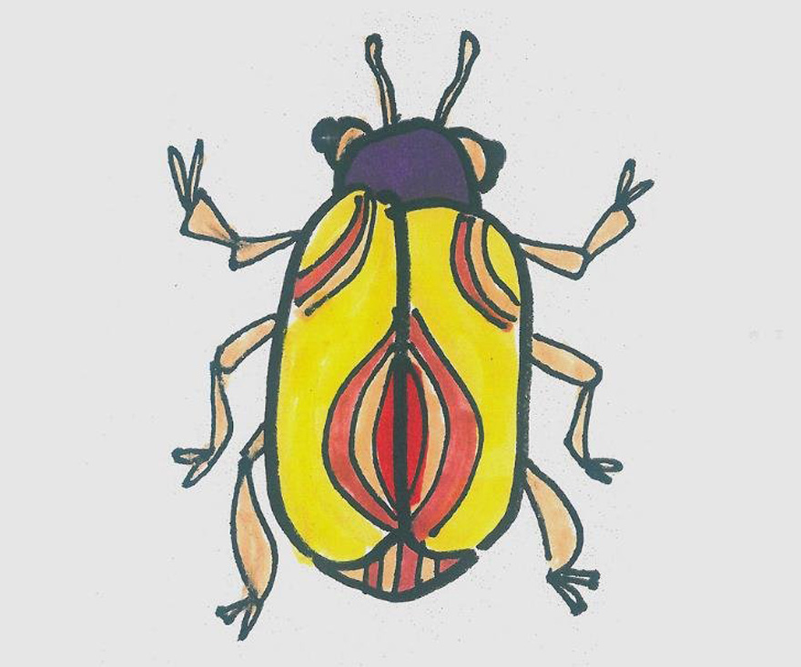一步一步绘画小甲虫简笔画填色简单又漂亮