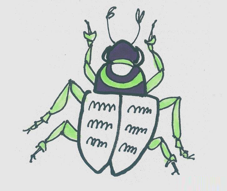 甲虫怎么画漂亮涂色 甲虫简笔画步骤图解