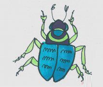 甲虫怎么画漂亮涂色 甲虫简笔画步骤图解