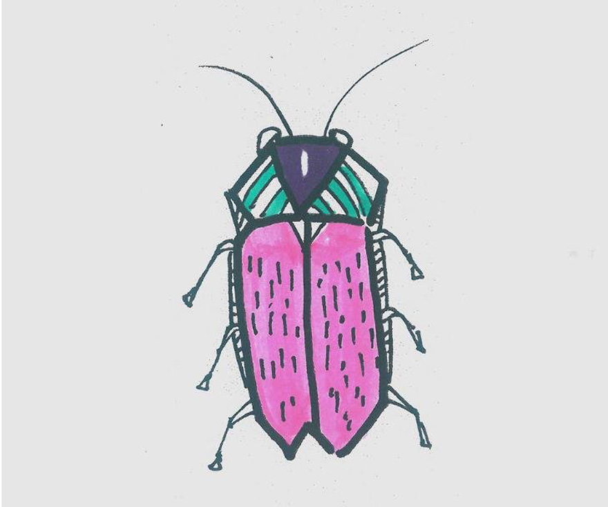 小甲虫怎么画带步骤涂色简单又好看