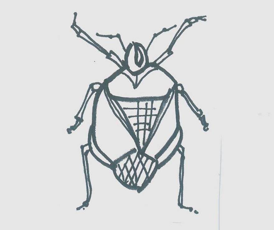 小甲虫怎么画漂亮涂色 小甲虫简笔画步骤图解