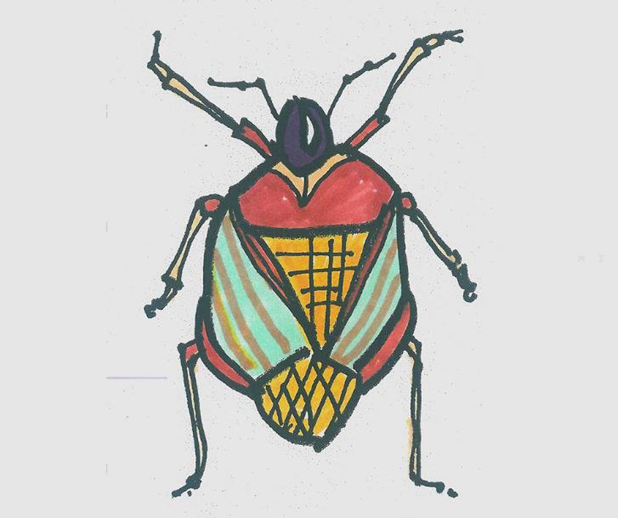 小甲虫怎么画漂亮涂色 小甲虫简笔画步骤图解