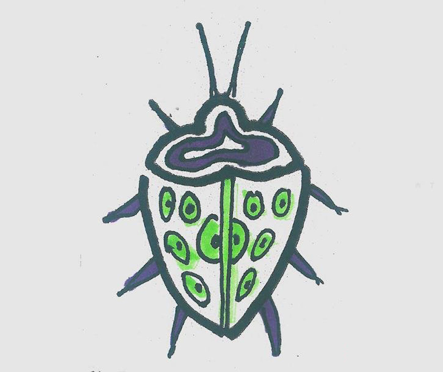 小甲虫的画法步骤填色 小甲虫简笔画好看图片