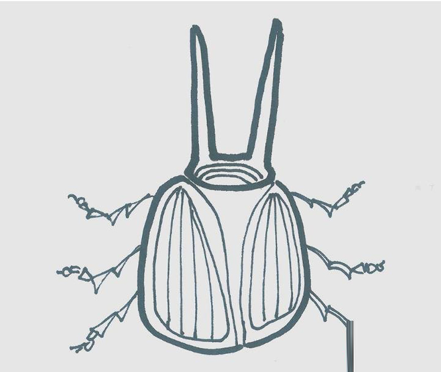 甲壳虫的画法带步骤简单又漂亮涂颜色