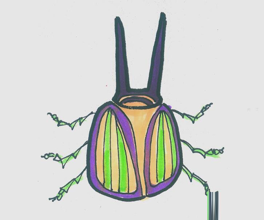甲壳虫的画法带步骤简单又漂亮涂颜色