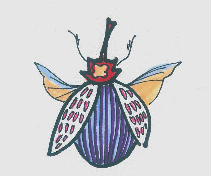 小瓢虫的画法步骤填色 小瓢虫简笔画图片