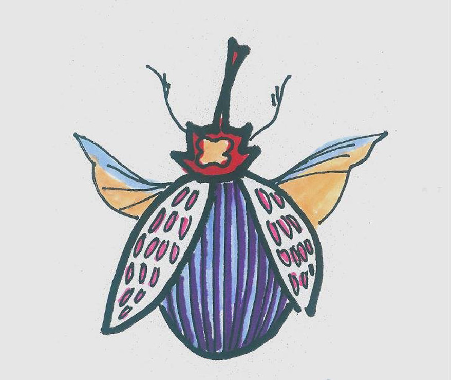 小瓢虫的画法步骤填色 小瓢虫简笔画图片