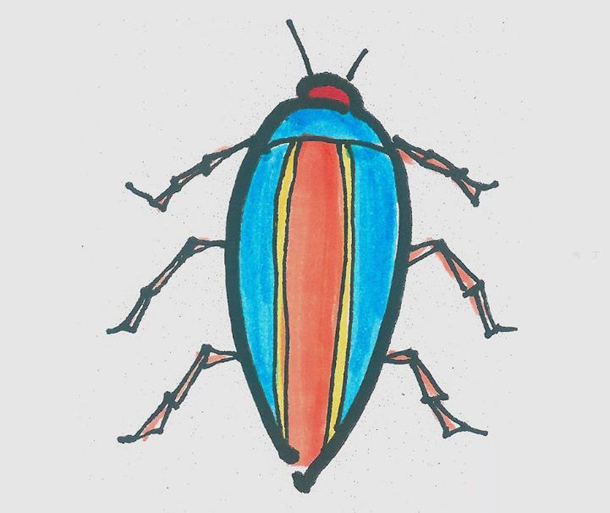 小甲虫怎么画带步骤 涂色简单又好看