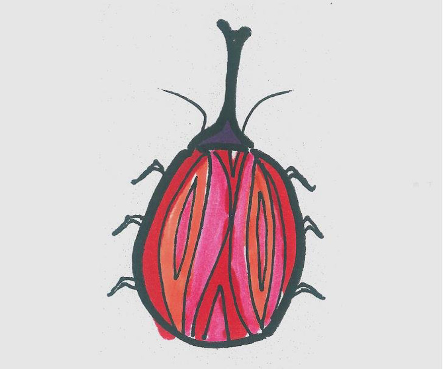 小甲虫的画法步骤填色 小甲虫简笔画漂亮图片