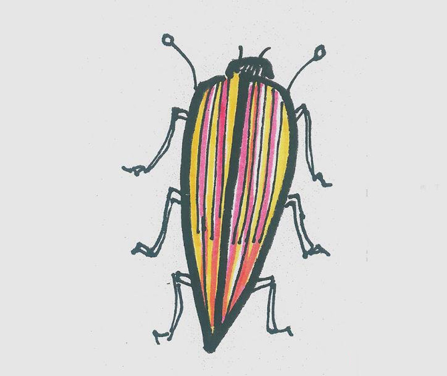 小甲虫的画法带步骤简单又漂亮涂颜色