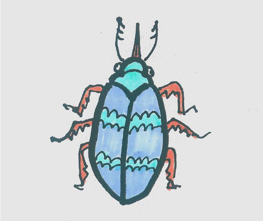 一步一步绘画小甲虫简笔画填色可爱又简单