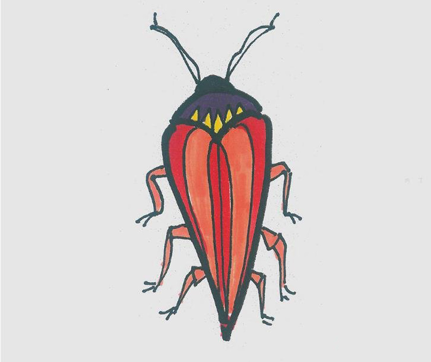 小甲虫怎么画漂可爱涂色 小甲虫简笔画步骤图解