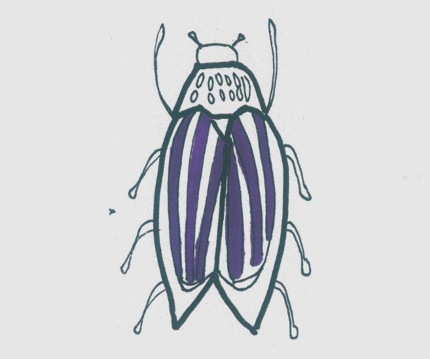 小甲虫的画法步骤填色小甲虫简笔画图片