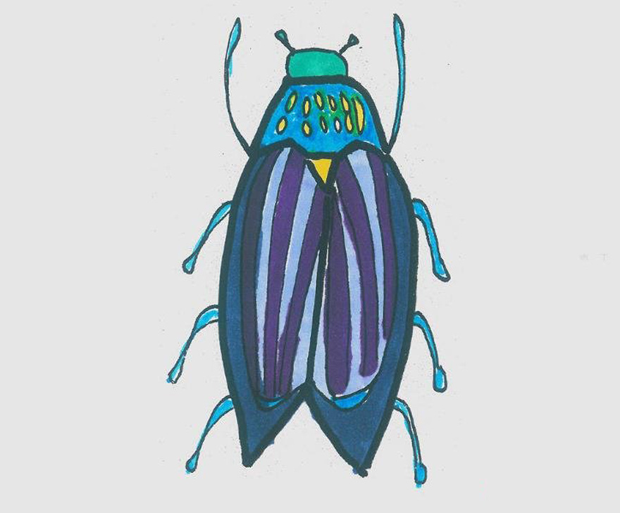 小甲虫的画法步骤填色小甲虫简笔画图片
