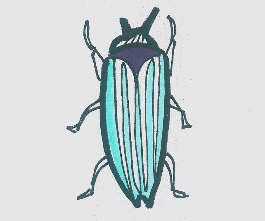 小甲虫的画法带步骤可爱又好看涂颜色