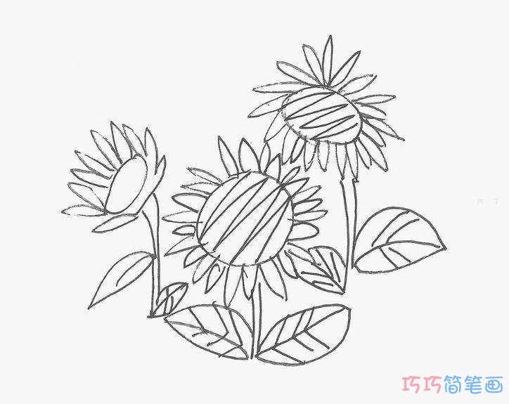 一步一步绘画向日葵简笔画填色简单又好看