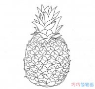菠萝怎么画带步骤涂色简单又漂亮手绘素描