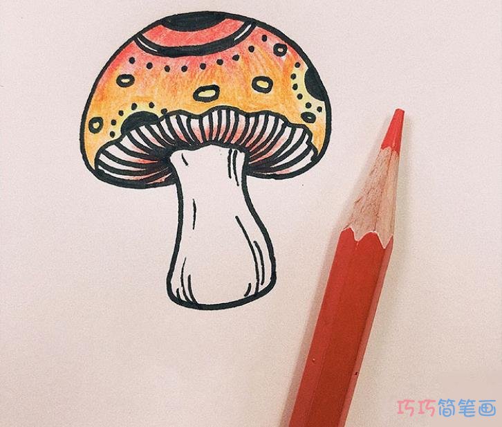 蘑菇怎么画好看涂色 蘑菇简笔画步骤图解