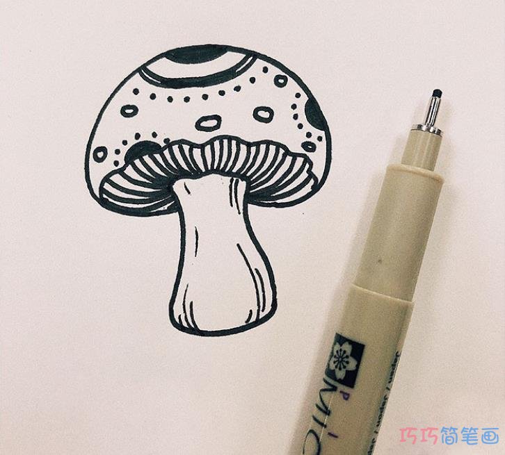 蘑菇怎么画好看涂色 蘑菇简笔画步骤图解