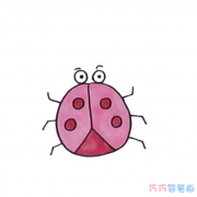 小甲虫的画法步骤填色 小甲虫简笔画图片