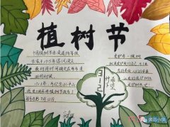 六年级植树节主题手抄报内容及图片简单又精美一等奖