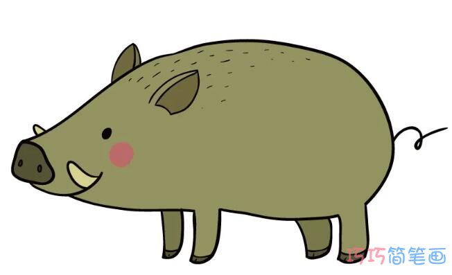 卡通野猪怎么画涂色 幼儿园儿童简笔画教程野猪