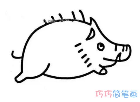 野猪怎么画涂颜色 野猪的画法图解步骤