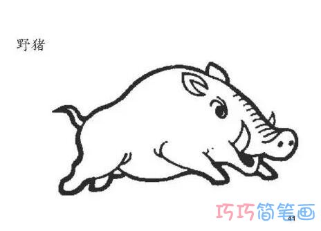 卡通野猪简笔画涂色 野猪的画法步骤教程简单