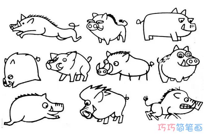 一步一步绘画卡通野猪简笔画涂色简单又可爱